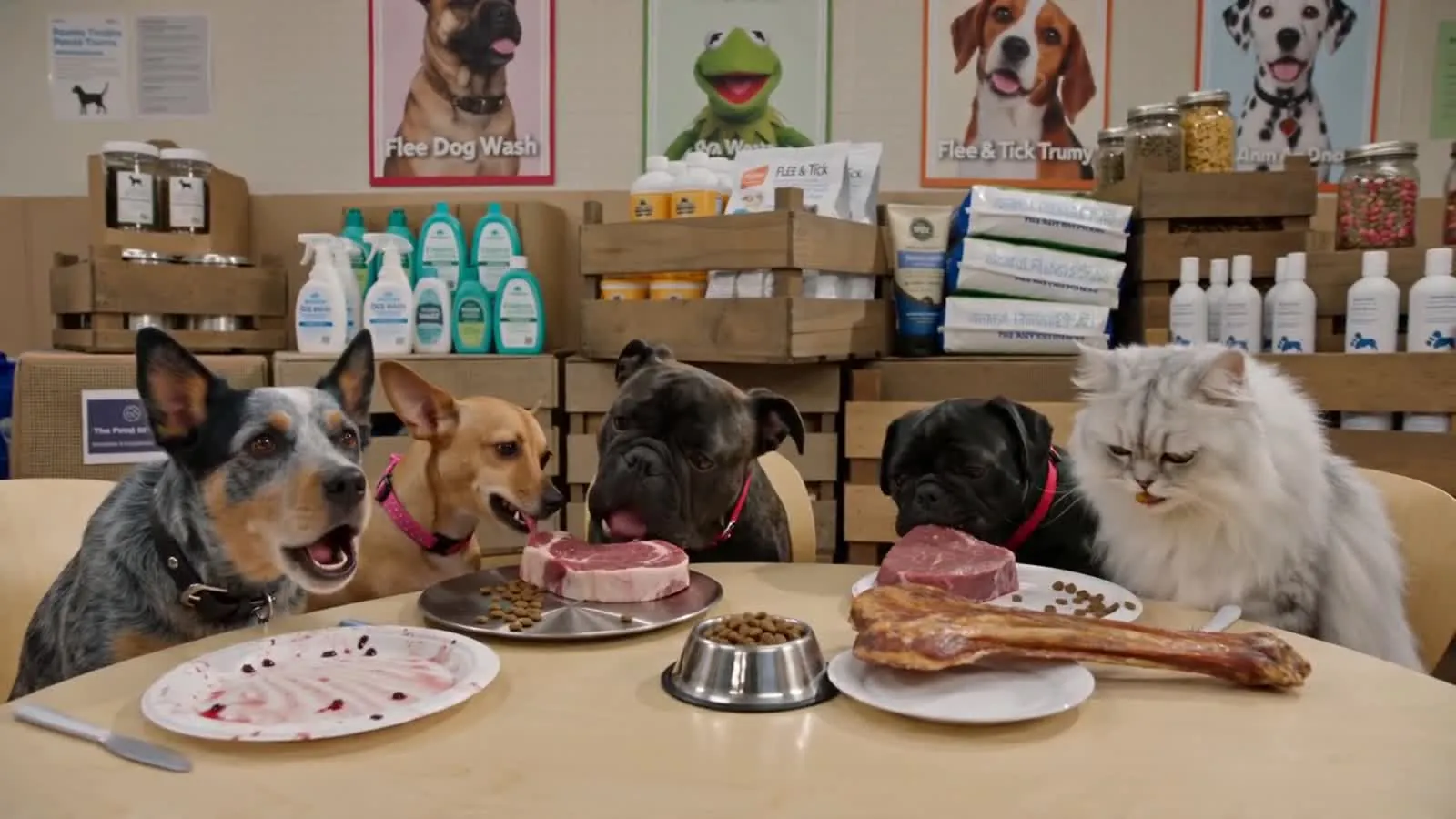 Pet Cafe Pet Cafe Animation Branding TVC still